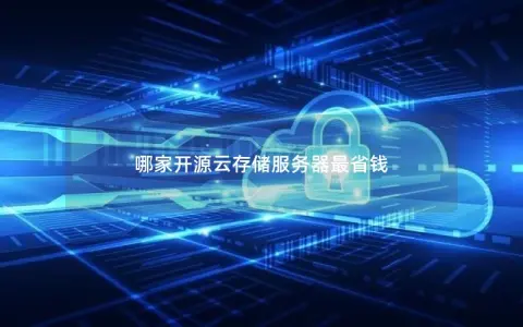 哪家开源云存储服务器最省钱