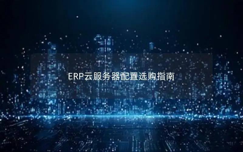ERP云服务器配置选购指南 ERP云服务器配置选购指南