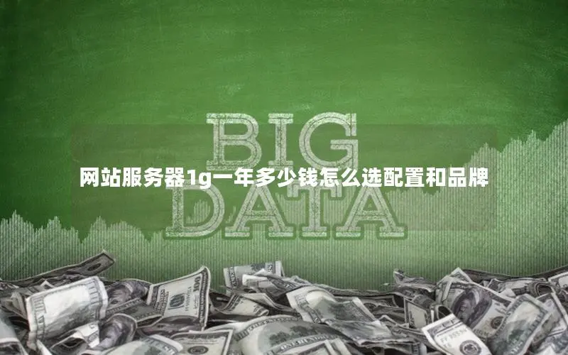 网站服务器1g一年多少钱怎么选配置和品牌