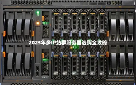 2025年多IP站群服务器选购全攻略