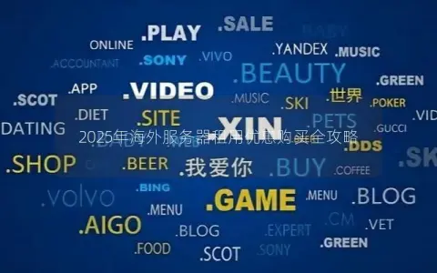 2025年海外服务器租用优惠购买全攻略