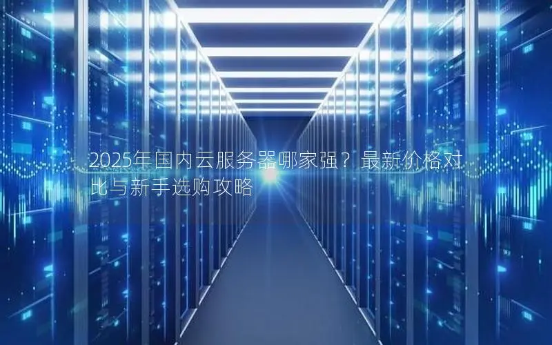 2025年国内云服务器哪家强？最新价格对比与新手选购攻略
