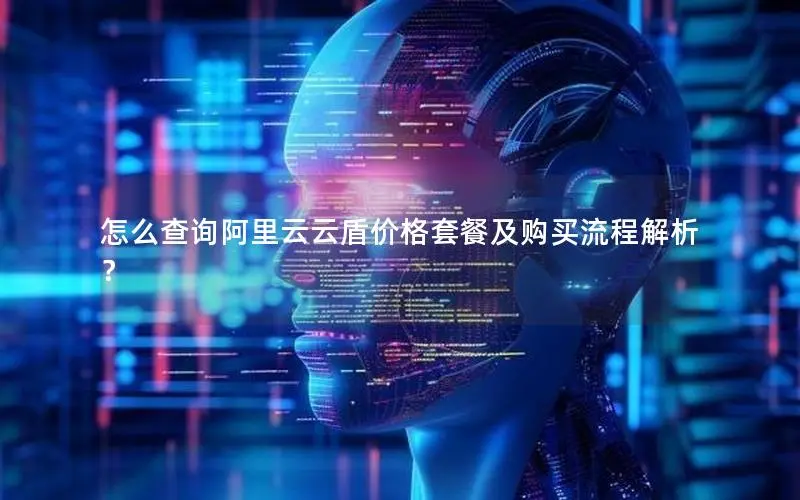 怎么查询阿里云云盾价格套餐及购买流程解析? 怎么查询阿里云云盾价格套餐及购买流程解析?