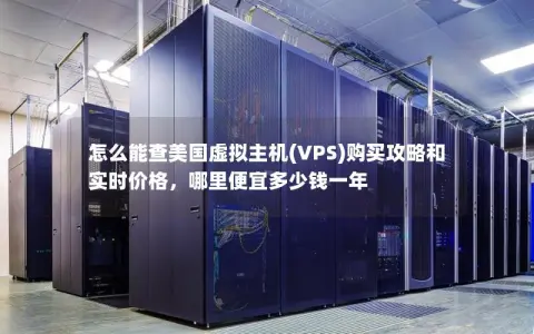 怎么能查美国虚拟主机(VPS)购买攻略和实时价格,哪里便宜多少钱一年 怎么能查美国虚拟主机(VPS)购买攻略和实时价格,哪里便宜多少钱一年