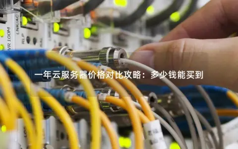 一年云服务器价格对比攻略：多少钱能买到