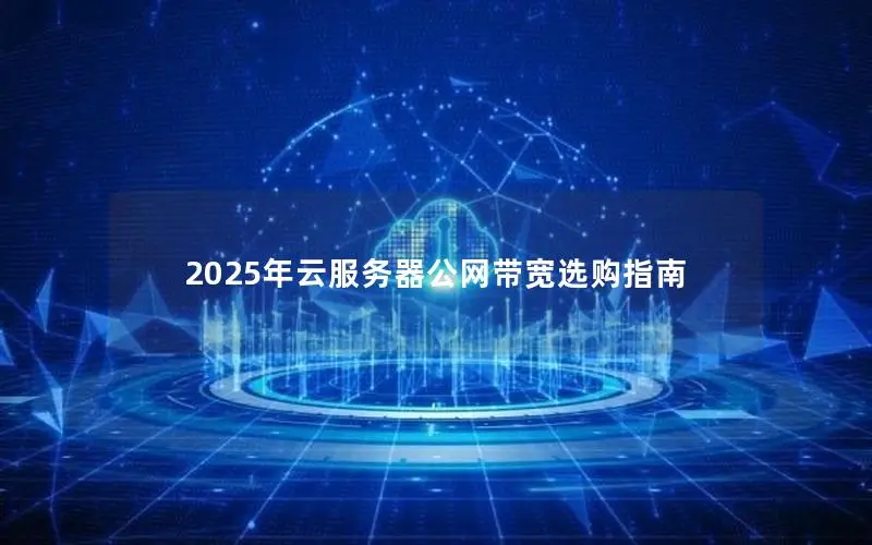 2025年云服务器公网带宽选购指南
