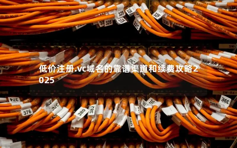 低价注册.vc域名的靠谱渠道和续费攻略2025