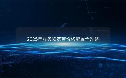 2025年服务器宽带价格配置全攻略