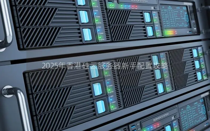2025年香港硅云服务器新手配置攻略