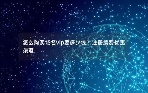 怎么购买域名vip要多少钱？注册续费优惠渠道