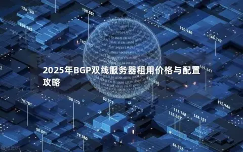 2025年BGP双线服务器租用价格与配置攻略