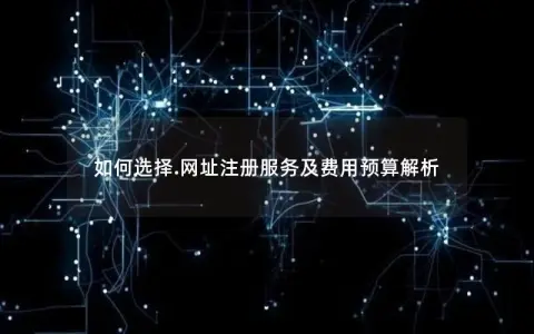 如何选择.网址注册服务及费用预算解析