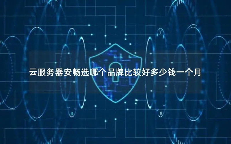 云服务器安畅选哪个品牌比较好多少钱一个月