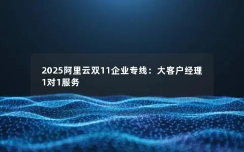 2025阿里云双11企业专线：大客户经理1对1服务