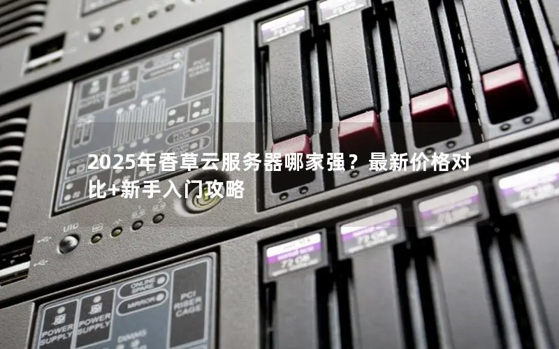 2025年香草云服务器哪家强？最新价格对比+新手入门攻略