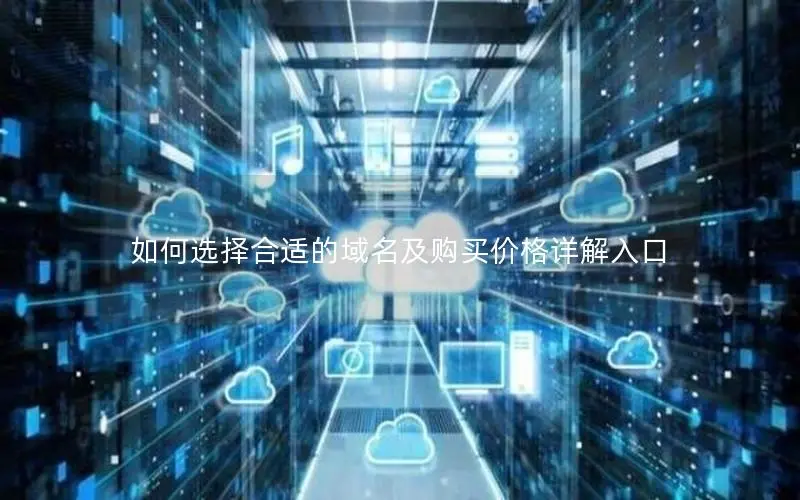 如何选择合适的域名及购买价格详解入口 如何选择合适的域名及购买价格详解入口