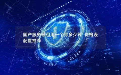 国产服务器租用一个月多少钱  价格表  配置推荐