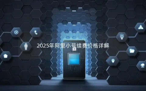2025年阿里小号续费价格详解