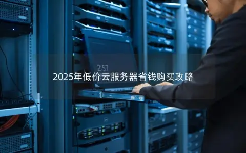 2025年低价云服务器省钱购买攻略
