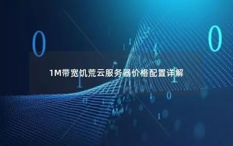 1M带宽饥荒云服务器价格配置详解