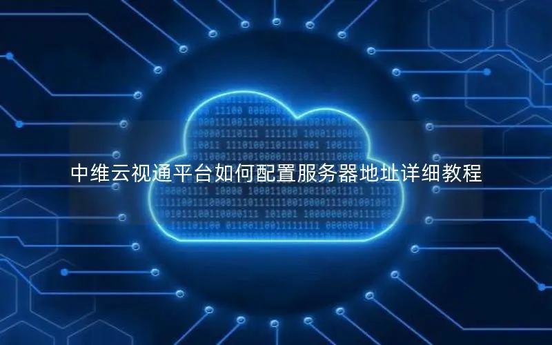 中维云视通平台如何配置服务器地址详细教程