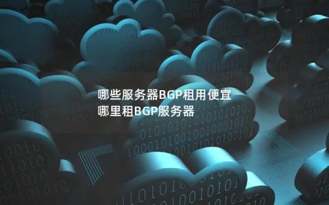 哪些服务器BGP租用便宜 哪里租BGP服务器