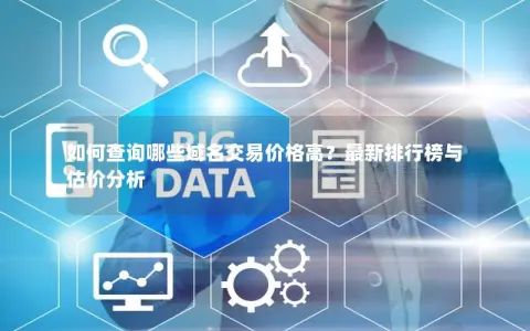 如何查询哪些域名交易价格高？最新排行榜与估价分析