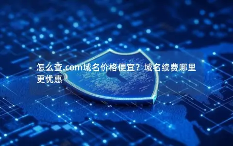 怎么查.com域名价格便宜？域名续费哪里更优惠