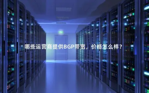 哪些运营商提供BGP带宽，价格怎么样？