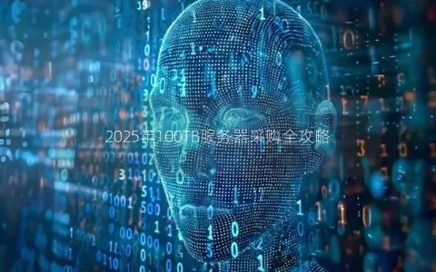 2025年100TB服务器采购全攻略