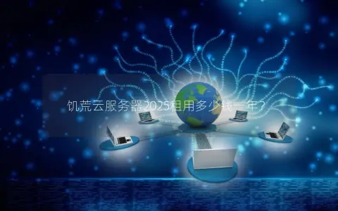 饥荒云服务器2025租用多少钱一年？