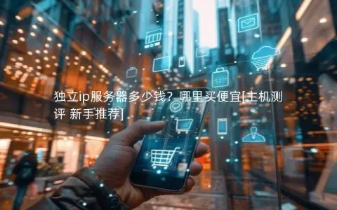 独立ip服务器多少钱？哪里买便宜[主机测评 新手推荐]