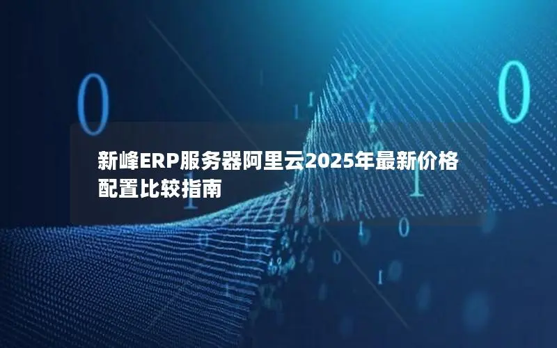 新峰ERP服务器阿里云2025年最新价格配置比较指南 新峰ERP服务器阿里云2025年最新价格配置比较指南