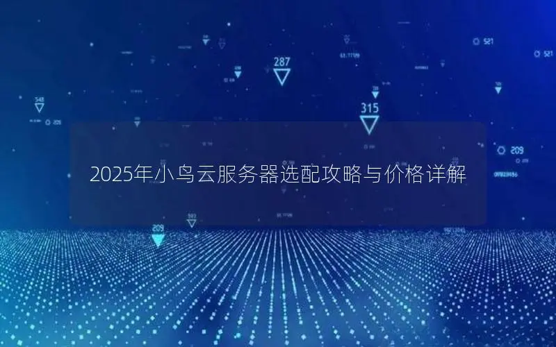 2025年小鸟云服务器选配攻略与价格详解 2025年小鸟云服务器选配攻略与价格详解