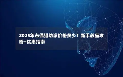 2025年布偶猫幼崽价格多少？新手养猫攻略+优惠指南