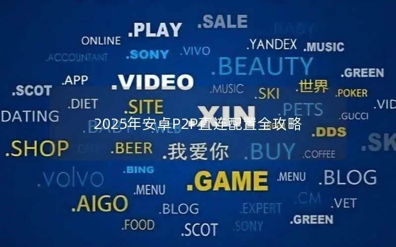 2025年安卓P2P直连配置全攻略 2025年安卓P2P直连配置全攻略