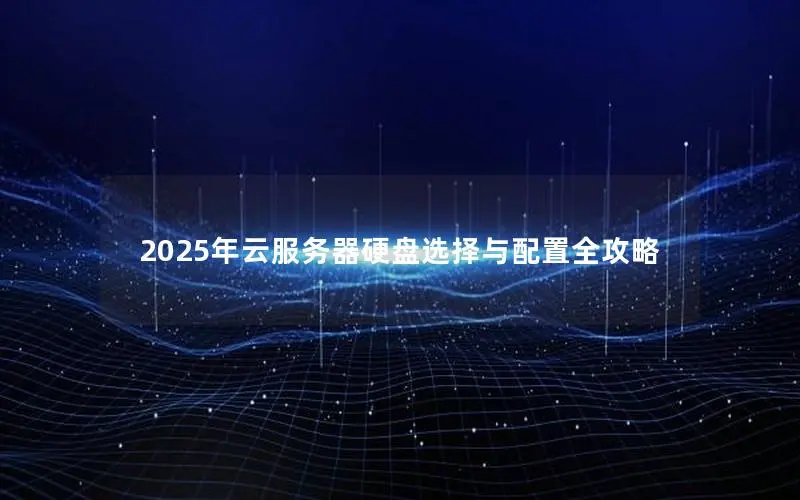 2025年云服务器硬盘选择与配置全攻略