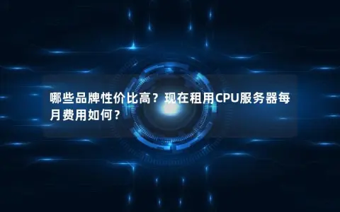哪些品牌性价比高？现在租用CPU服务器每月费用如何？