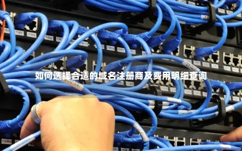 如何选择合适的域名注册商及费用明细查询