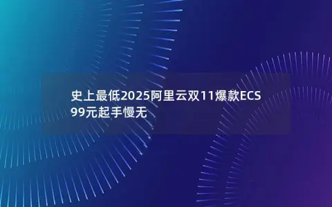 史上最低2025阿里云双11爆款ECS 99元起手慢无