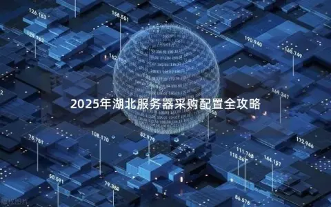 2025年湖北服务器采购配置全攻略