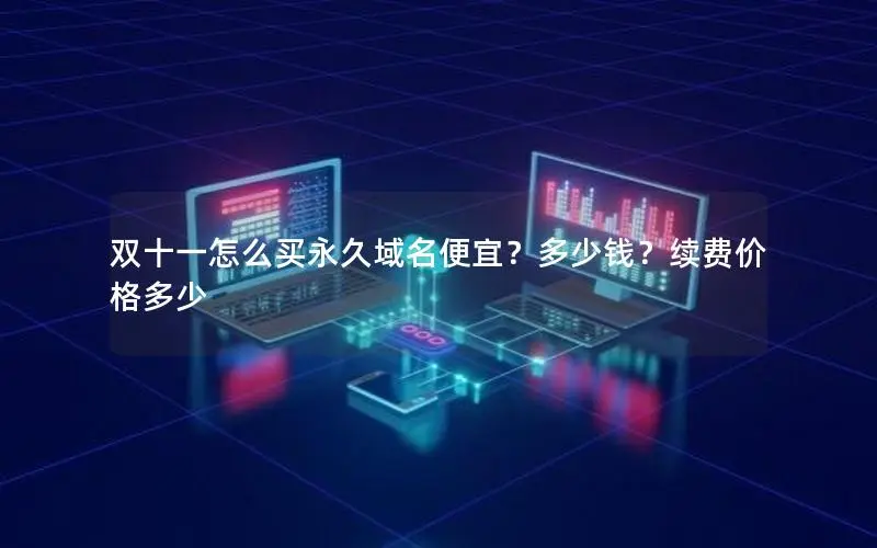 双十一怎么买永久域名便宜？多少钱？续费价格多少