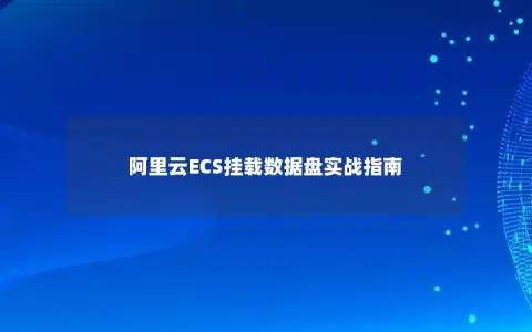 阿里云ECS挂载数据盘实战指南