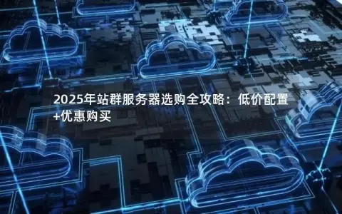 2025年站群服务器选购全攻略：低价配置+优惠购买