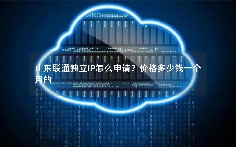 山东联通独立IP怎么申请?价格多少钱一个月的 山东联通独立IP怎么申请?价格多少钱一个月的