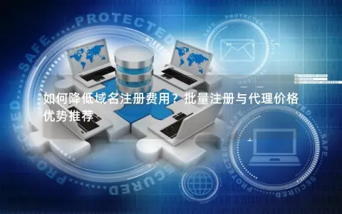 如何降低域名注册费用？批量注册与代理价格优势推荐