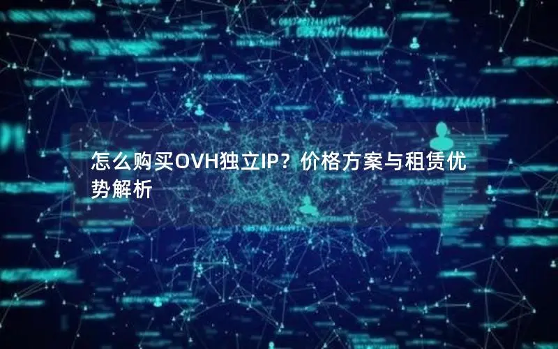 怎么购买OVH独立IP？价格方案与租赁优势解析