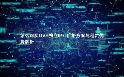 怎么购买OVH独立IP？价格方案与租赁优势解析