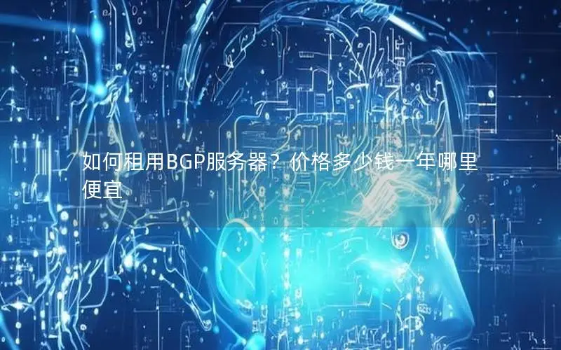 如何租用BGP服务器?价格多少钱一年哪里便宜 如何租用BGP服务器?价格多少钱一年哪里便宜