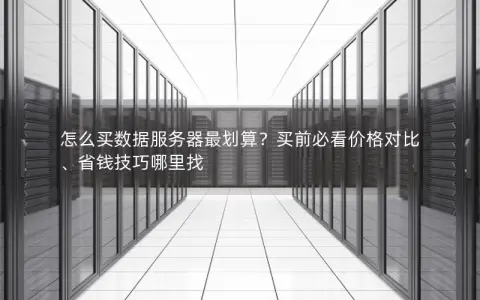 怎么买数据服务器最划算？买前必看价格对比、省钱技巧哪里找